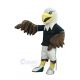 Cool Sporty Fierce Eagle Mascot Costumes 