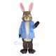 Cute Peter Rabbit Mascot Costume