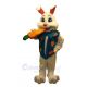 Easter Bunny Rabbit with Carrot Mascot Costumes