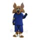 Cute Arizona Coyote Wolf Mascot Costumes