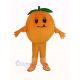 Orange Mascot Costume Fruit