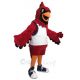 Cardinal Bird Mascot Costume