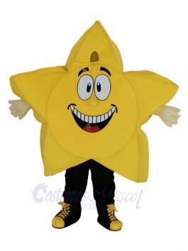 custom made mascot, school mascot costume, star mascot costume adult,