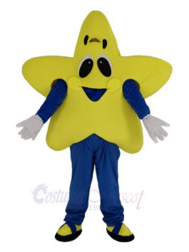 custom made mascot, school mascot costume, star mascot costume adult,