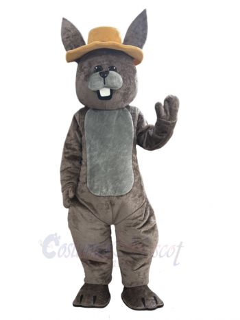 Jolly Bunny Rabbit Mascot Costume Animal