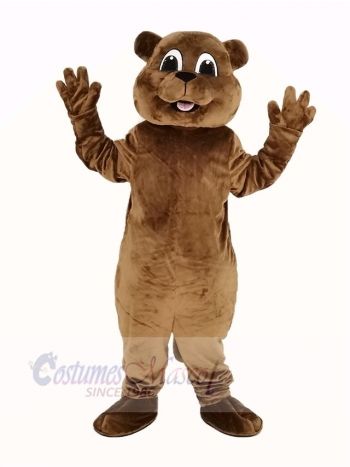 Woody Woodchuck Mascot Costume Animal