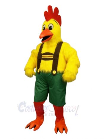 Cute Chicken Mascot Costume Poultry