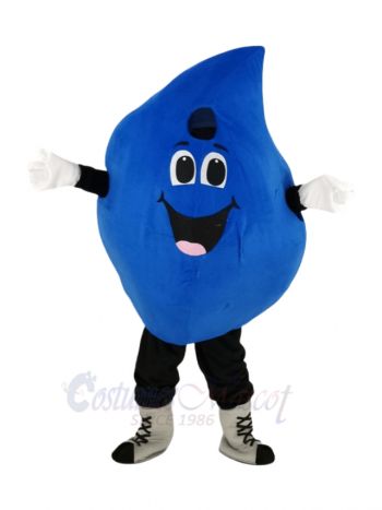 Funny Water Drop Mascot Costume