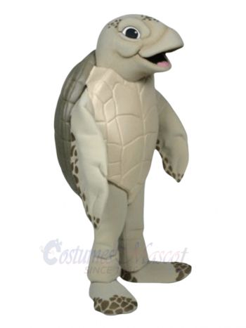 The Sea Turtle Mascot Costume