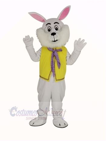 Easter Bunny Rabbit in Yellow Vest Mascot Costume Animal