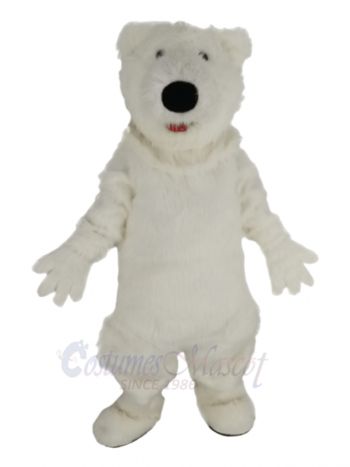 Cute Fat Polar Bear Mascot Costume Animal