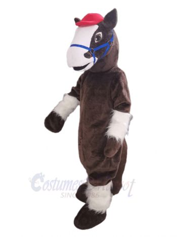 Cute Horse Mascot Costume Animal