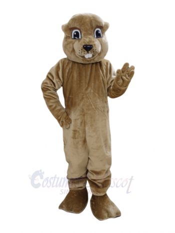 Cute Brown Groundhog Mascot Costume