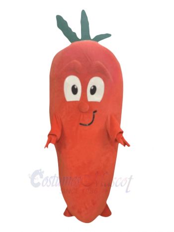 Happy Carrot Mascot Costume Vegetable