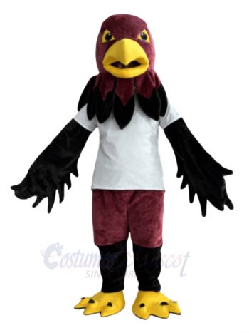 Cool Black Hawk Bird Mascot Costume Animal