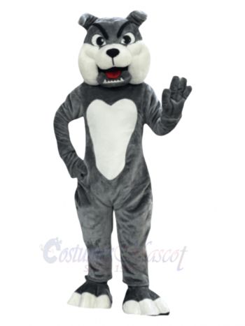 Grey Bulldog Mascot Costume Animal