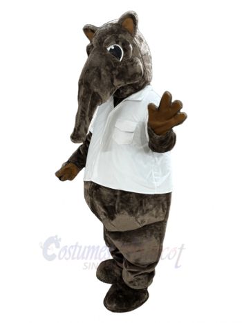 Brown Anteater Mascot Costume Animal