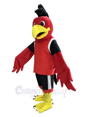 Sport Red Eagle Bird Mascot Costume Animal