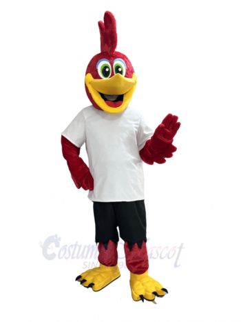 Red Roadrunner Bird Adult Mascot Costume Animal