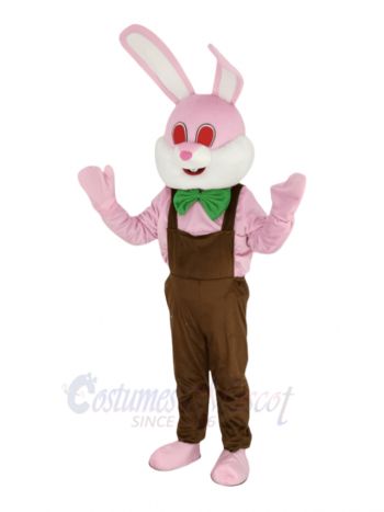 Pink Easter Robbie Rabbit Mascot Costume Animal