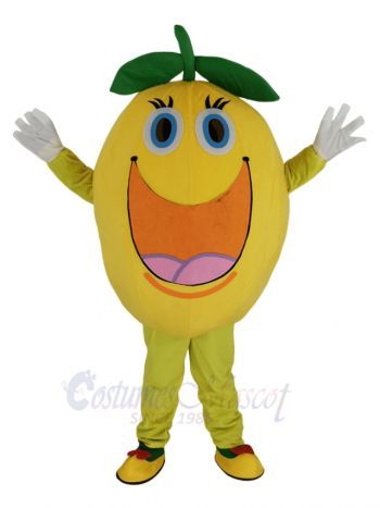 Cute Orange Mascot Costume Fruit
