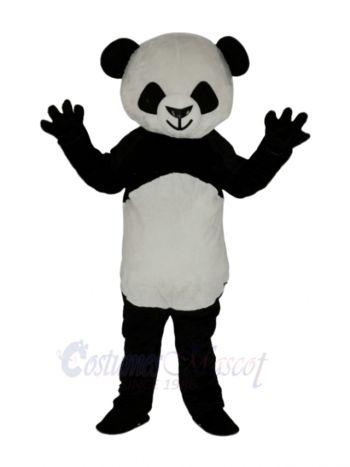Cute Shorthair Panda Mascot Costume Animal