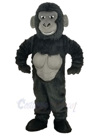 Funny Gorilla Mascot Costume Animal
