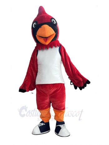 Realistic Cardinal Bird Mascot Costume Animal