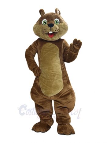 Lovely Squirrel Mascot Costume Animal